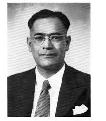 Professor Dhirendra N Majumdar