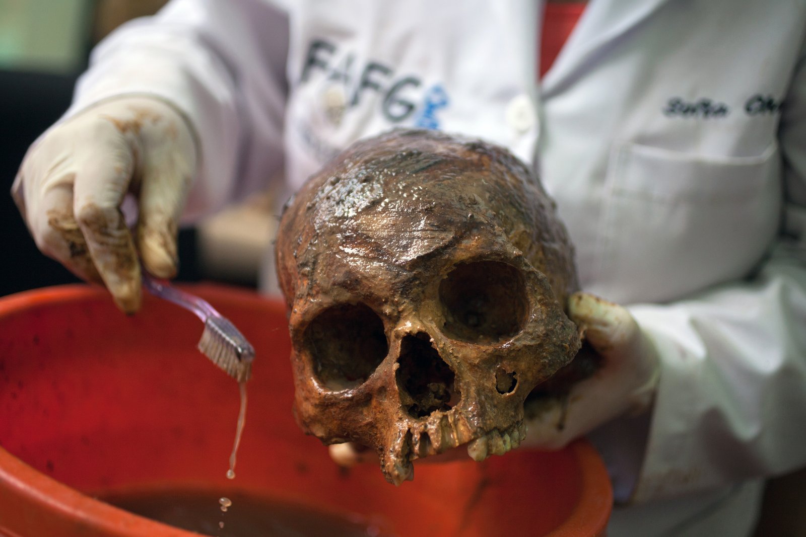 Anthropology in the Service of the Criminal Justice System and the Society