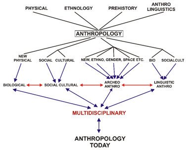 What is ‘Indian’ Anthropology?